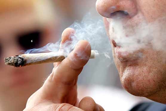 Spanish town wants to grow cannabis to pay off debt