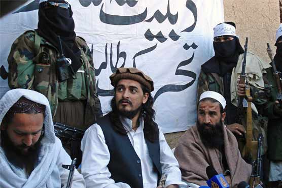 Taliban in talks to reunite scattered TTP structure
