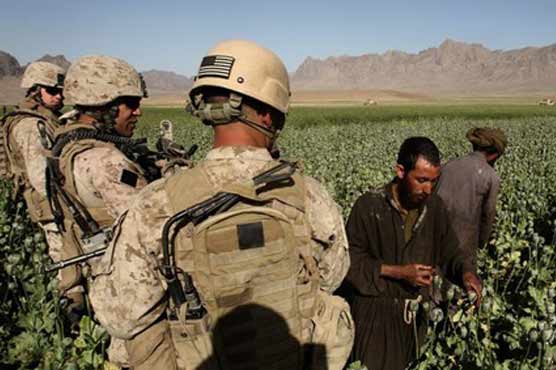 US probes allegations AAF involved in drug running