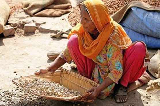 Punjab CM active for women rights in property