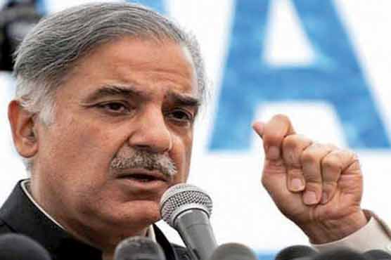 Nation to hold Zardari accountable: Shahbaz