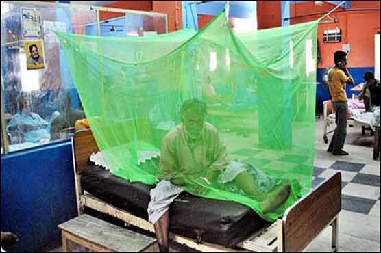 Four new cases of dengue in Karachi