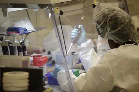 Anti -malaria vaccine preparation on final stage
