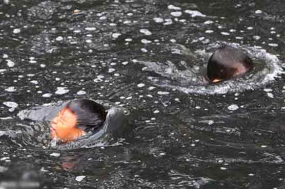 Philippines: Heavy rains hit Bicol, Visayas regions, 3 killed