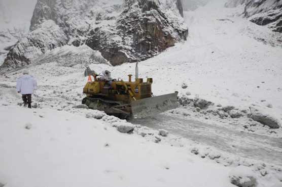 Siachen: Search operation enters 31st day