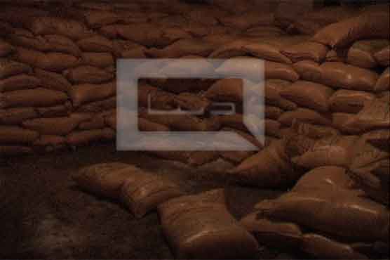 Govt employee held for stealing fertilizers 