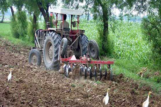 Sindh govt to provide 5000 tractors to farmers