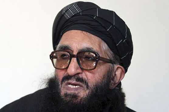 Afghan peace council member shot dead