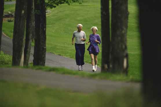 Walk in park can help fight depression 