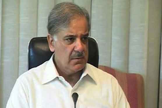 Everybody perturbed over govt corruption: Shahbaz