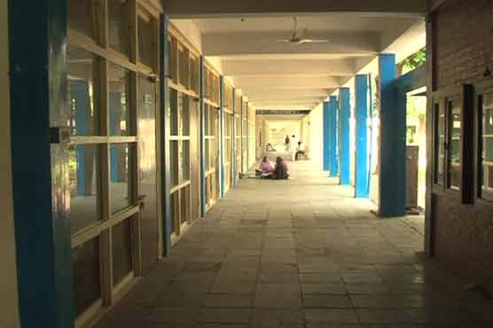 PU teachers' protest enters 2nd day 