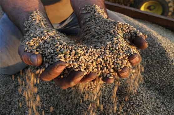 India to export wheat to Iran 