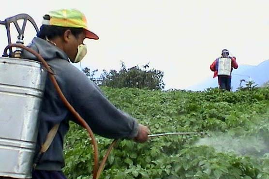 Study: Common pesticide affects developing brain