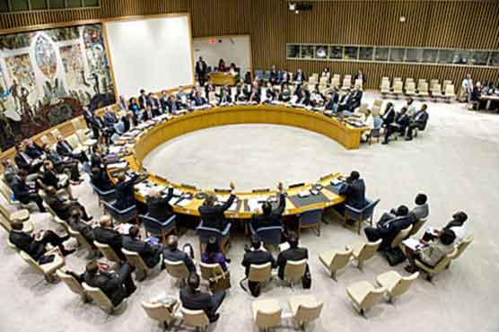 UNSC 'unfit for purpose': Amnesty 