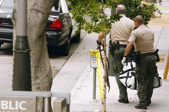 Lion wandering into California city centre killed