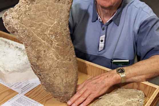 Scientists deploy genetics in search for bigfoot