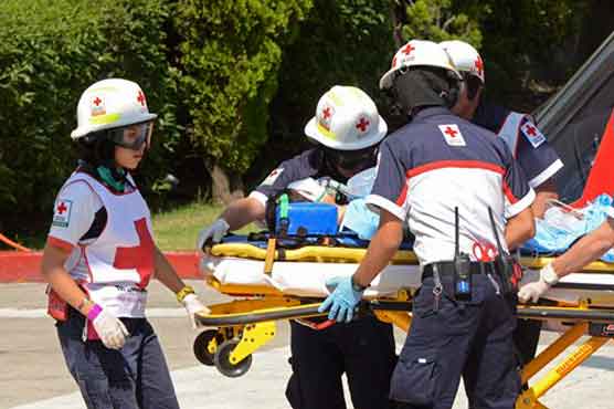 Mother arrested after son's eyes gouged out