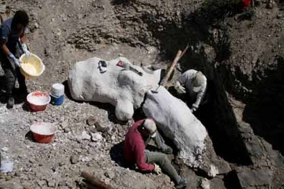 Dinosaur with tiny arms unearthed in Argentina