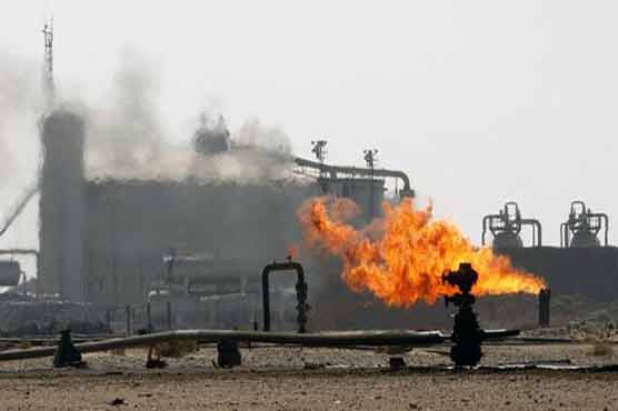 ECC has approved establishment of LNG terminals: Dr Asim