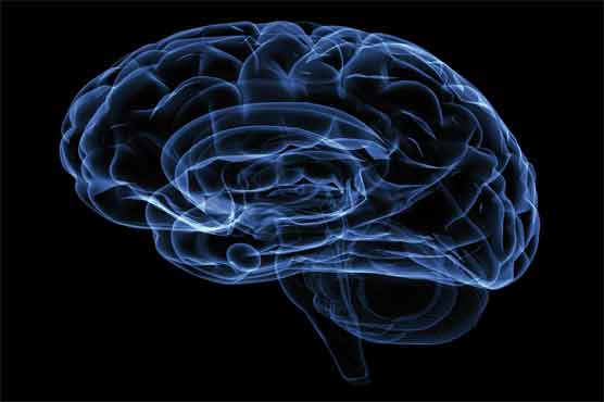 'Survival protein' can help treat neuro-disorders