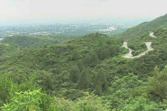 Rain expected during next 24 hours