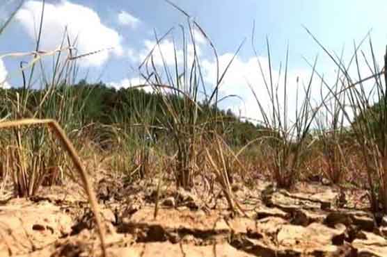 North Korea facing severe drought: state media