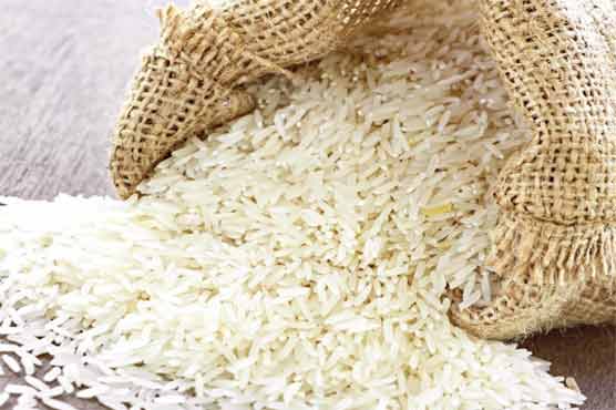 Rice export to Malaysia increases by 20.3 percent 