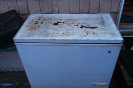 Dead Japan woman kept into freezer for many years