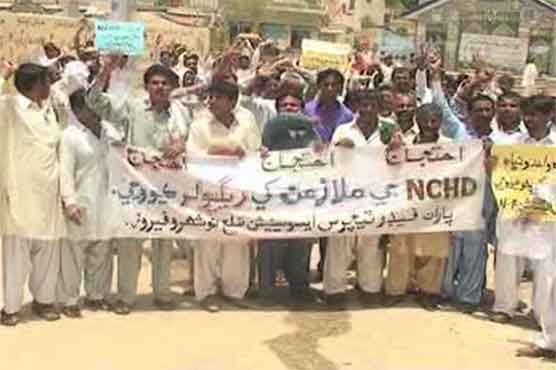 Nowshehro Feroz: teachers rally for rights