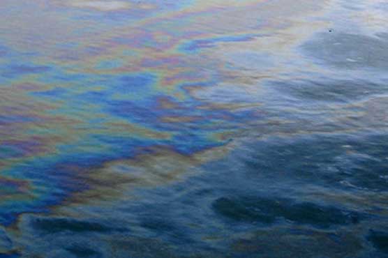 Oil spill off storm-battered New York: report