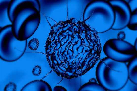 Stem cell treatment for elderly people discovered: Scientists