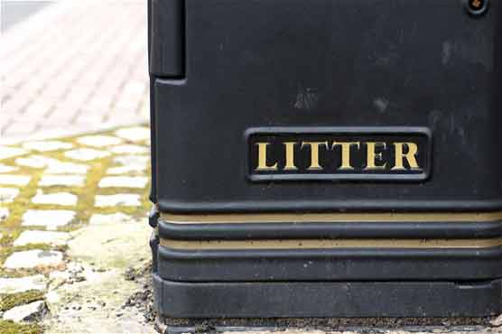 Litter-picking enthusiast fined 75 by council 