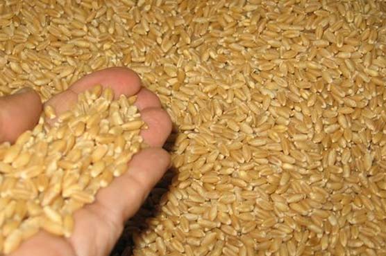 India to sell 6.5mt of wheat to control prices