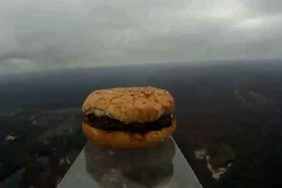Harvard students send hamburger into space 