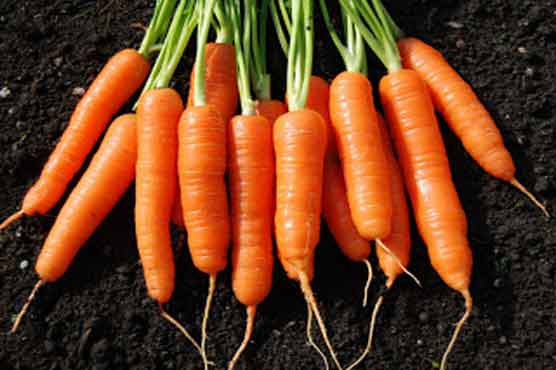 Carrots, broccoli combat cancer: research