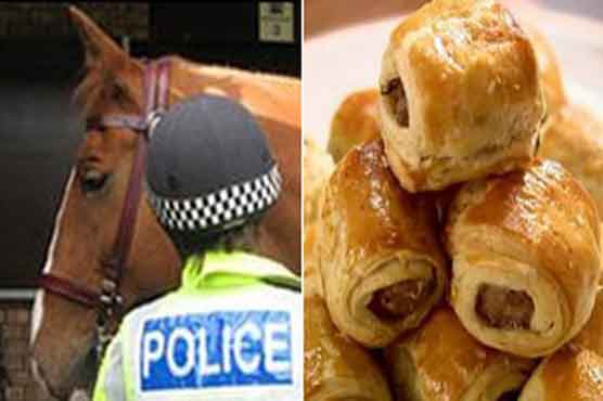 Man who fed a sausage roll to police horse faces court 