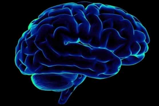 Rare gene mutation causes Alzheimer: Study