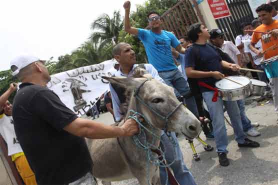 Ecuador officials reject donkey as candidate for legislature 