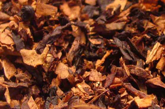 PTB to fix minimum tobacco price for 2013