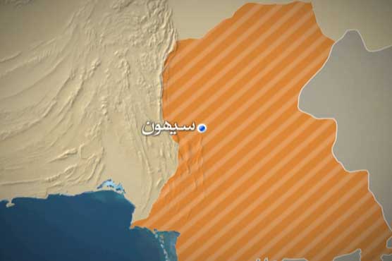 Sehwan Sharif: 8 of a family die in road accident