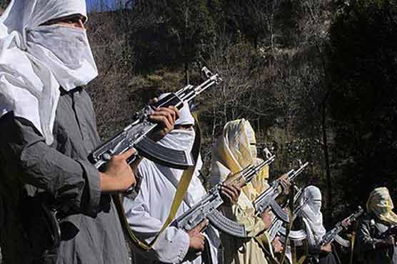 TTP rejects Malik’s offer for peace talks 
