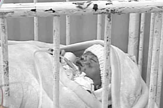  Rat nibbles newborn at Holy Family Hospital 