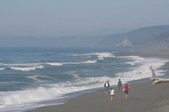 Three drown in ocean trying to save dog