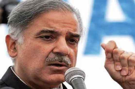 Shahbaz stresses sustainable agriculture economy 