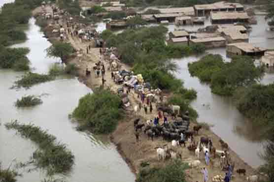 Pakistan drops to third position in climate-risk index 