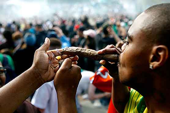 Youth agrees to quit marijuana to avoid jail