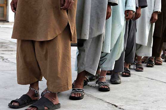 Afghanistan wants Pakistan to free more Taliban