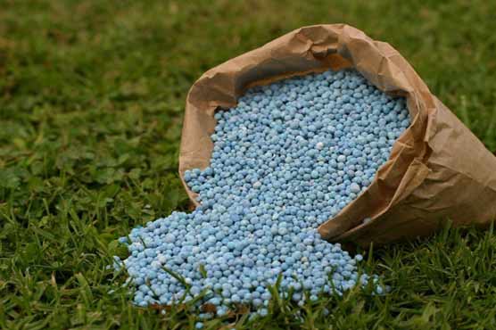  Sale of local urea goes down due to rains
