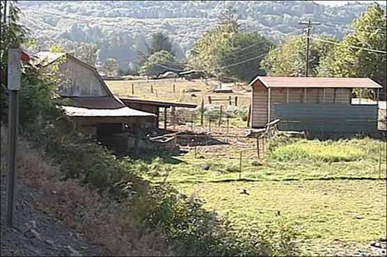  70-year-old Oregon farmer eaten by his hogs