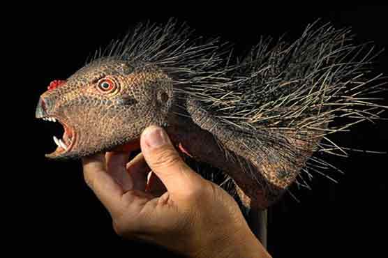 Odd species of wee dinosaur identified